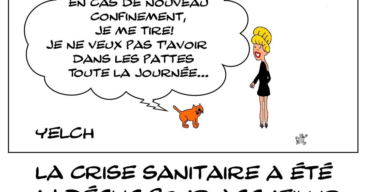 Pas dans mes pattes!