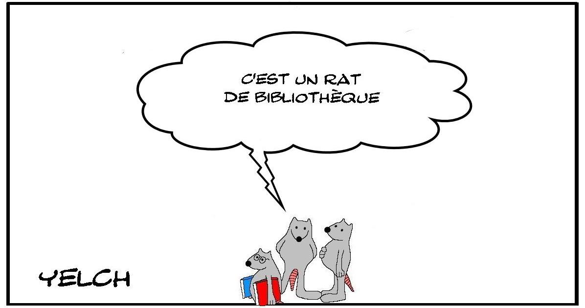 Rat de bibliothèque