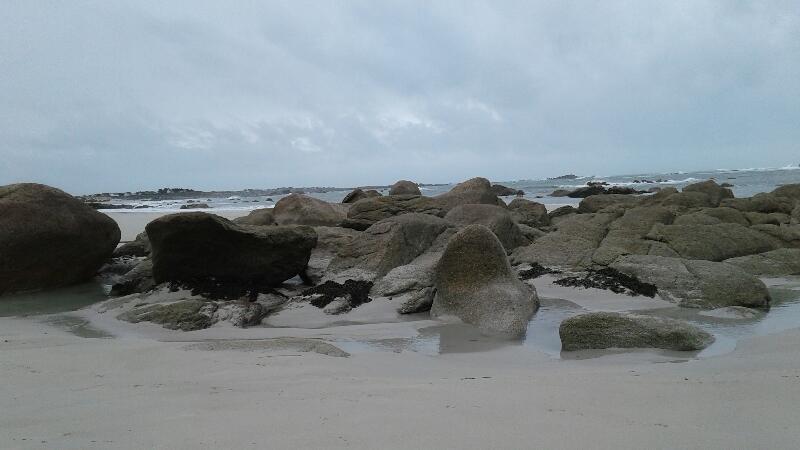 Retrouvez l’harmonie grâce au Qi Gong