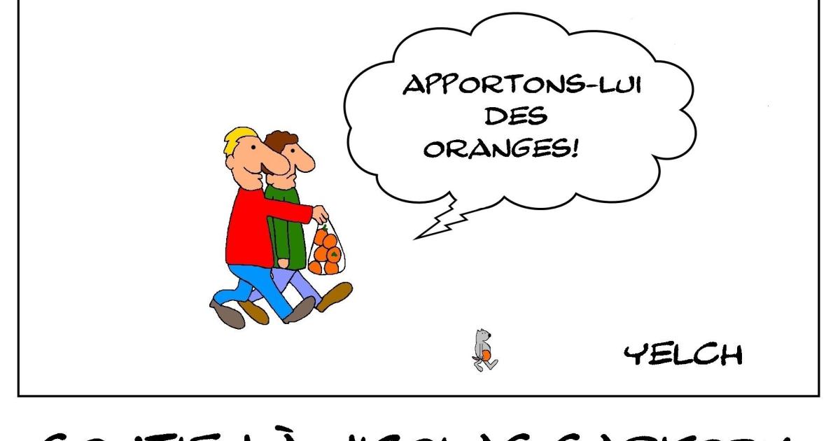 Sarkozy ou soutenir l'insoutenable