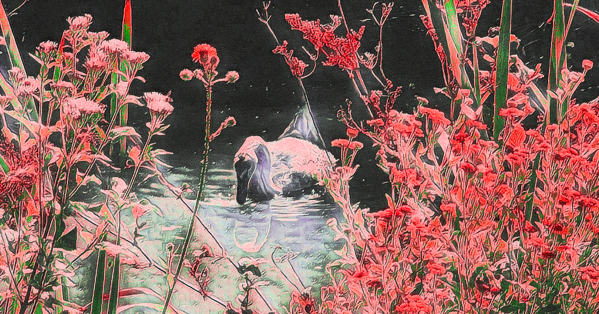 Nostalgie d'une renaissance