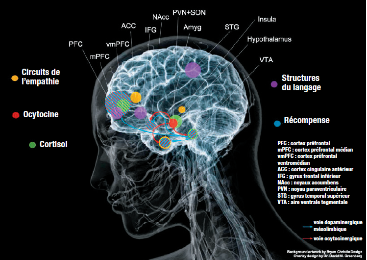 Si l'humour est décapant, c'est qu'il découle d'une alchimie d'esprit et de sel, ce qui le rend irritant aux yeux des vrais semblants comme des fausses sceptiques !