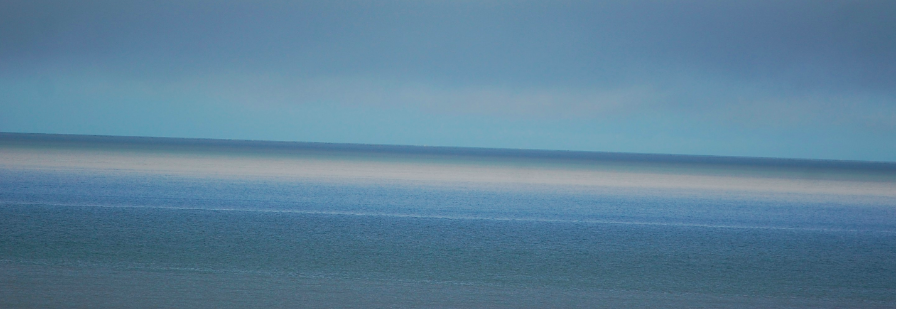 Les fleurs bleues dans le sable mouillé, hommage à Christophe