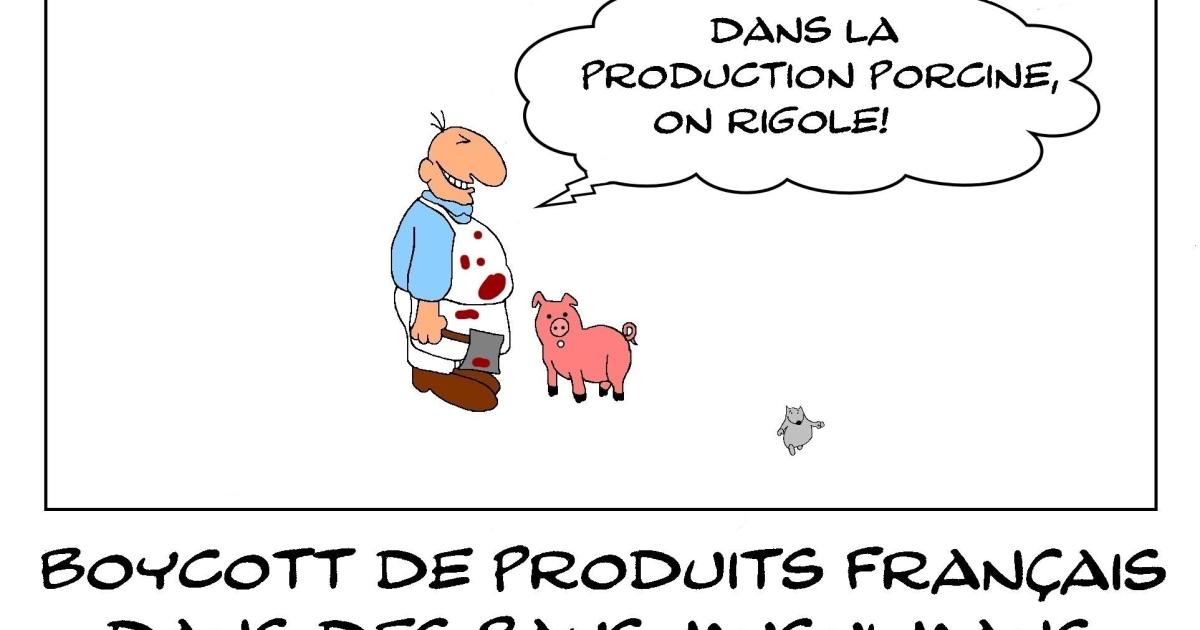 Pour une fois la production porcine française s'en sort bien
