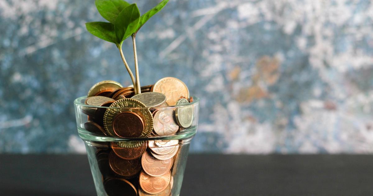 Comment dépenser moins d'argent, La folie d'une lectrice sans dépenser 1 euro.