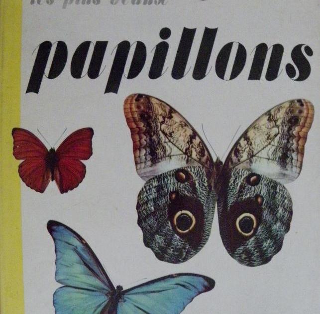 Les plus beaux papillons