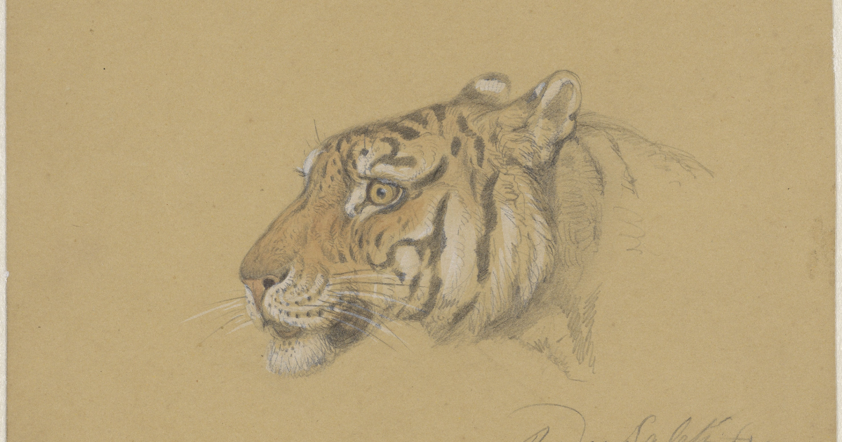 Le tigre qui s'était déguisé en chat