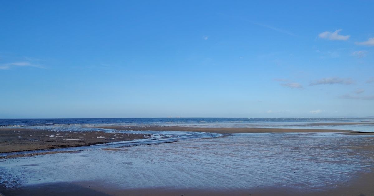 Symbolique du papillon (10) : Tribulations