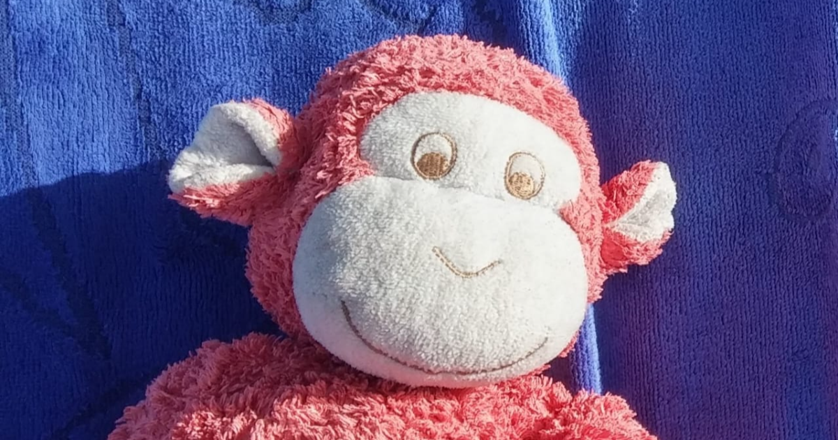 L'Histoire d'Hubert le singe