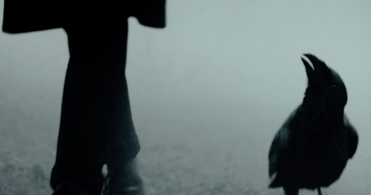Cigarette