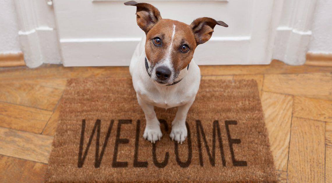 Au commencement, les présentations ... [version 2022]