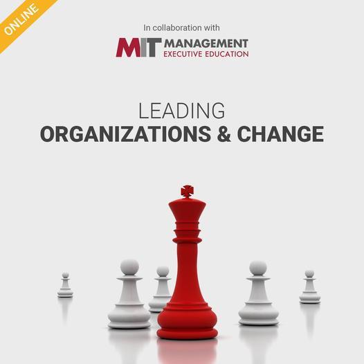 STUPIDITY ALWAYS FAILS