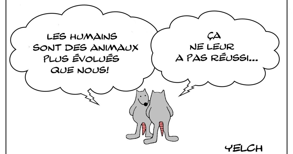 Humains évolués (?)