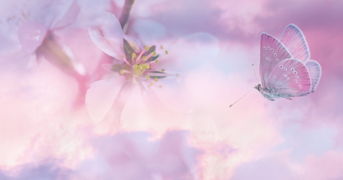 Papillon de ciel