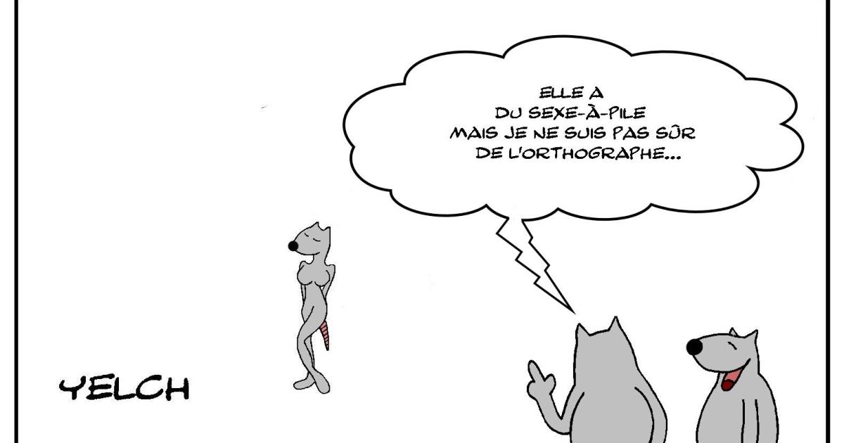 Sexe-à-pile