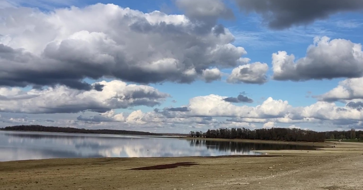 Lac de la forêt d'Orient - Février