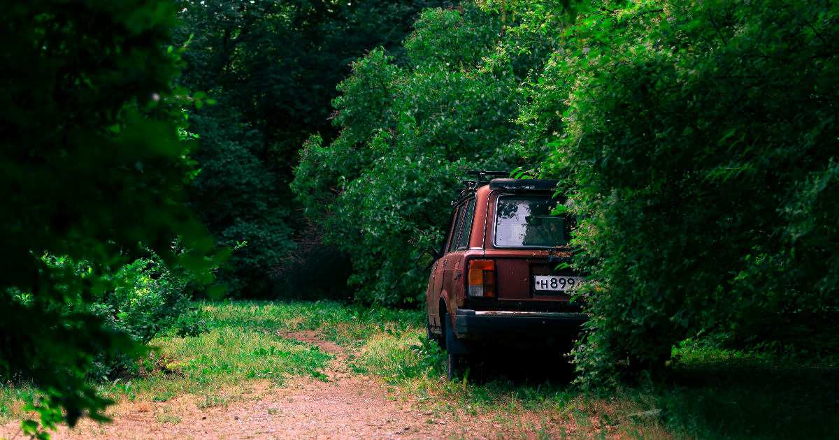 De là-bas au bois...