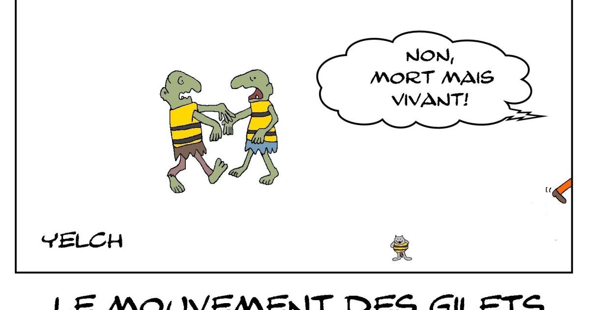 Gilets jaunes morts ou pas ? ou les deux ?