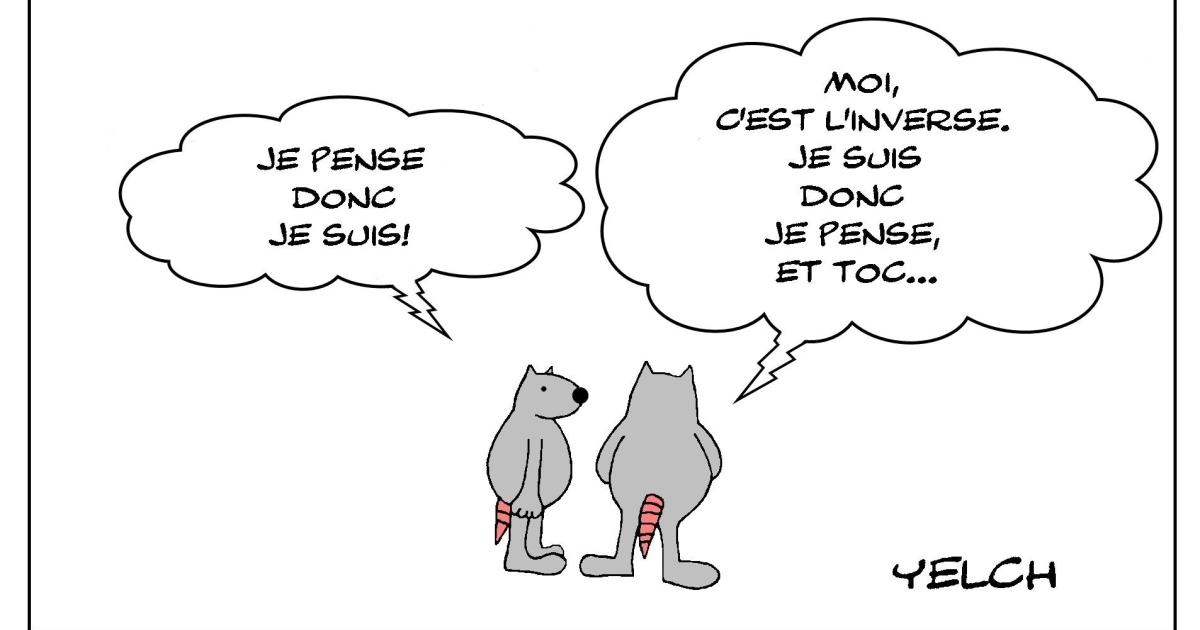 je pense donc je suis et si c'était l'inverse?