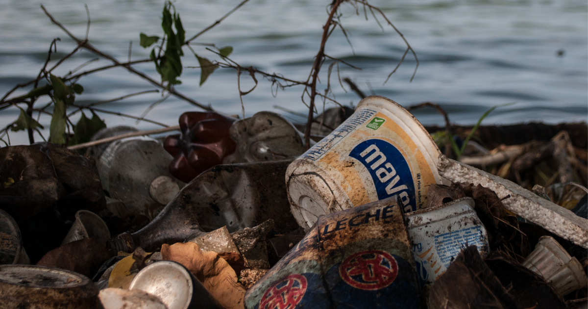 La polluconsommaction