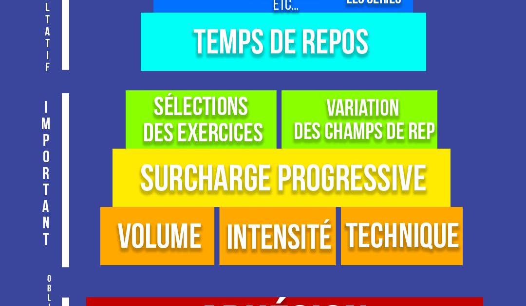 La pyramide de l'entraînement