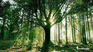 La garnison d'Alba (épisode 4) cinq poignards