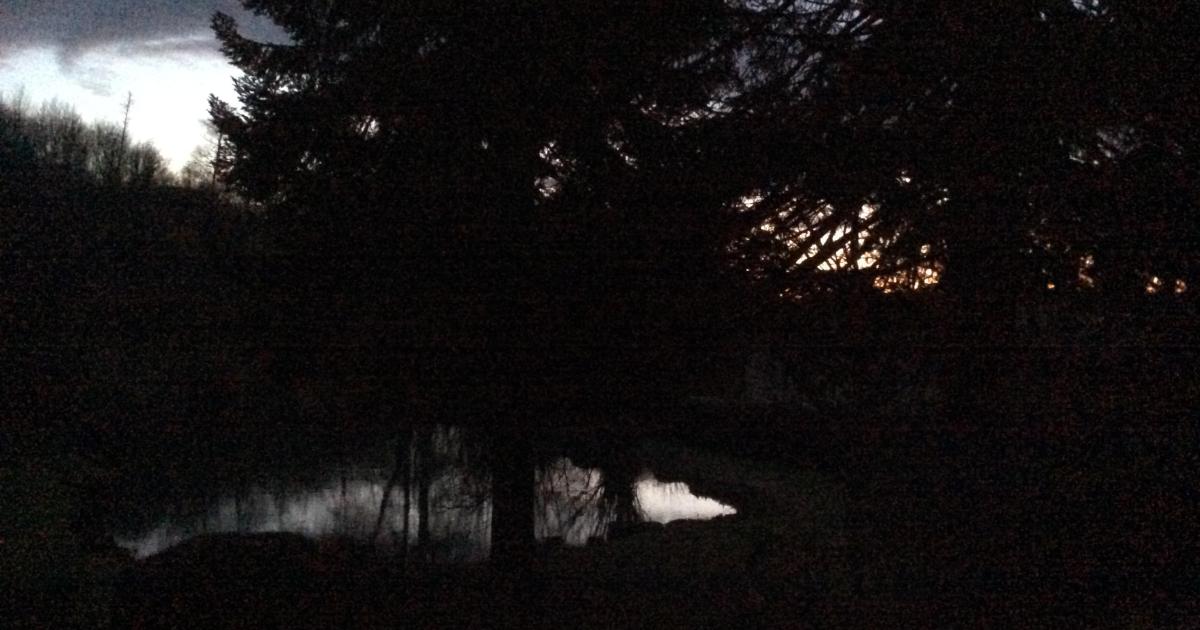 Le jardin du 15 Juin