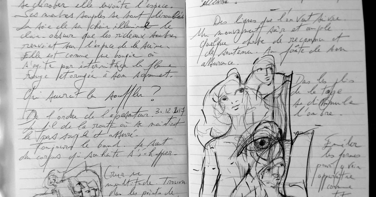 Petits Papiers Volants : Journal D'écriture 2003-2019-30 décembre 2017