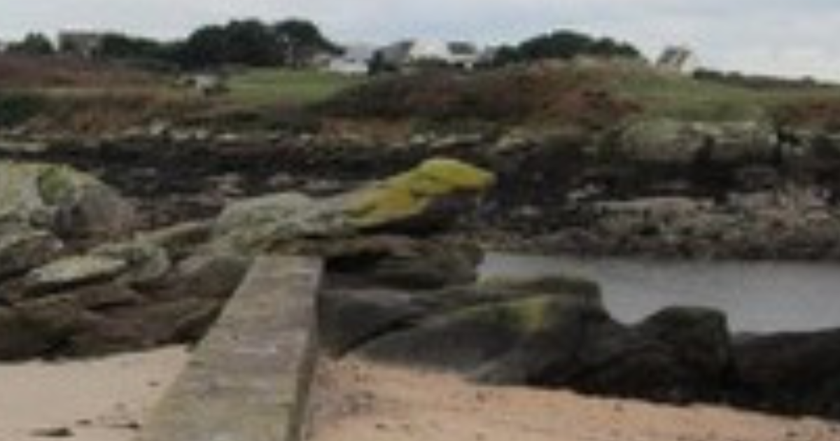 Quelques croassements de corbeaux plus tard,