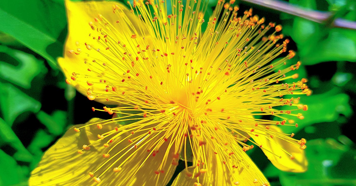 Chapitre 1 : La légende du clan des prédateurs