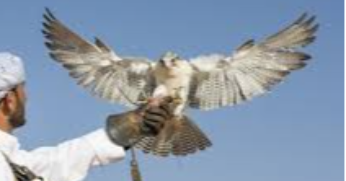 The Spirit of your Mind