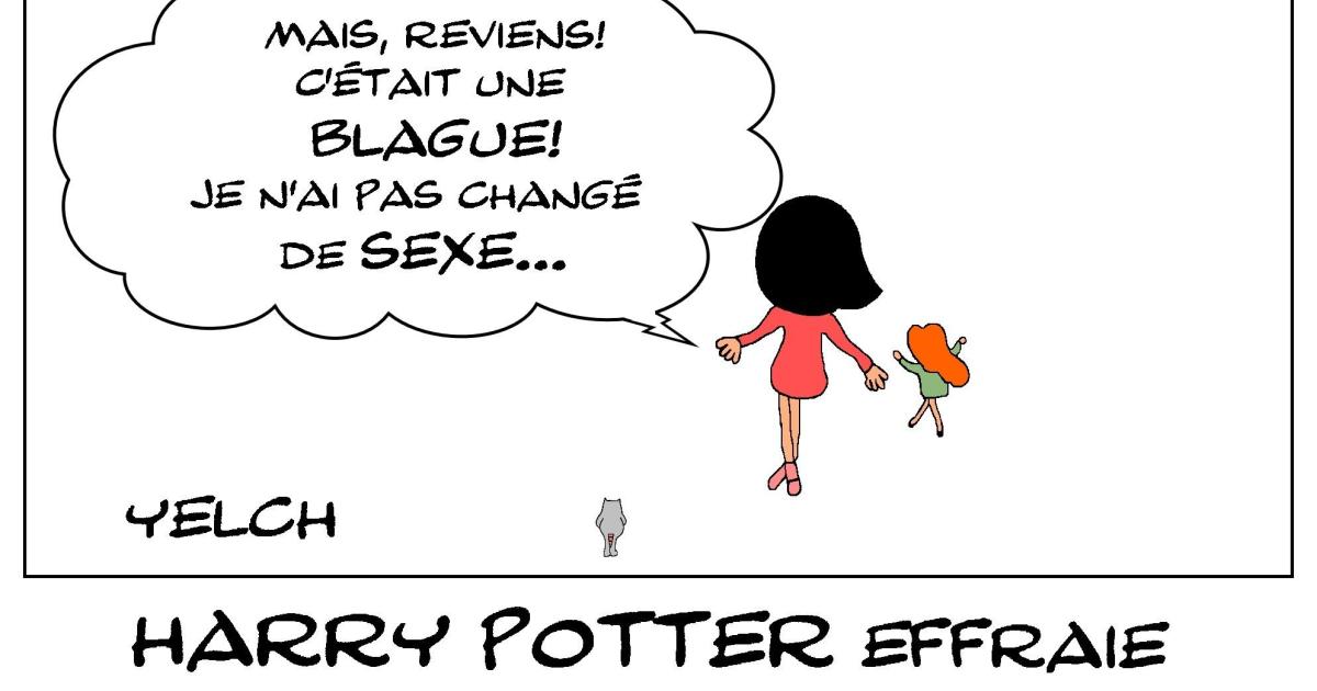 Harry Potter , sa maman Jk Rowling et les transgenres