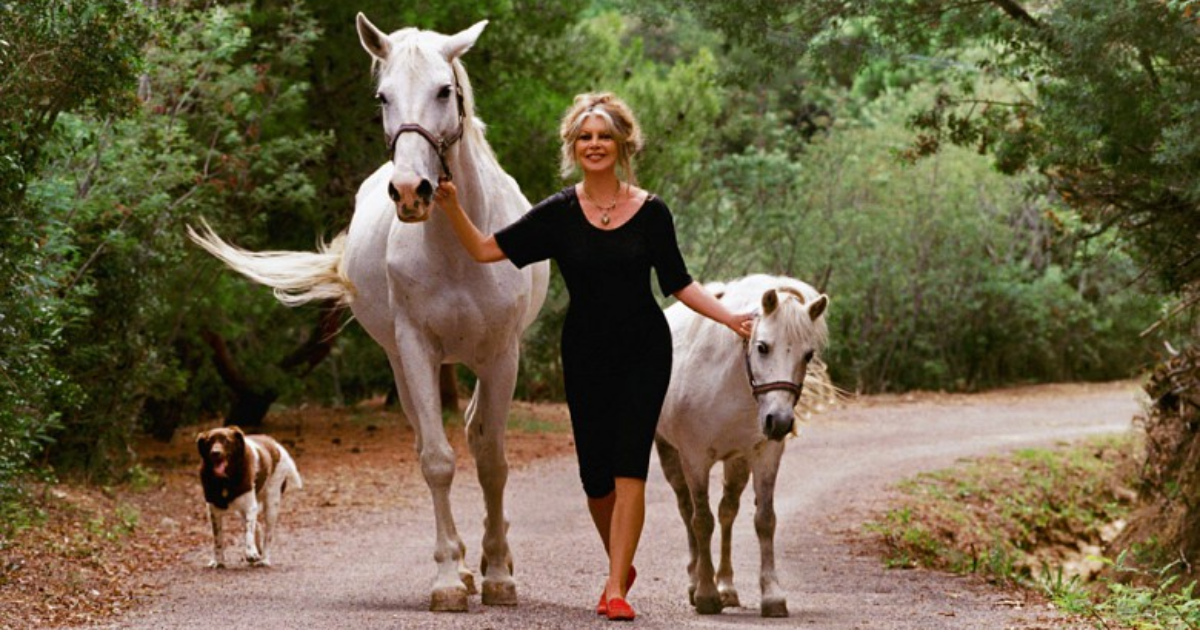 Brigitte Bardot : "La Fée des animaux"