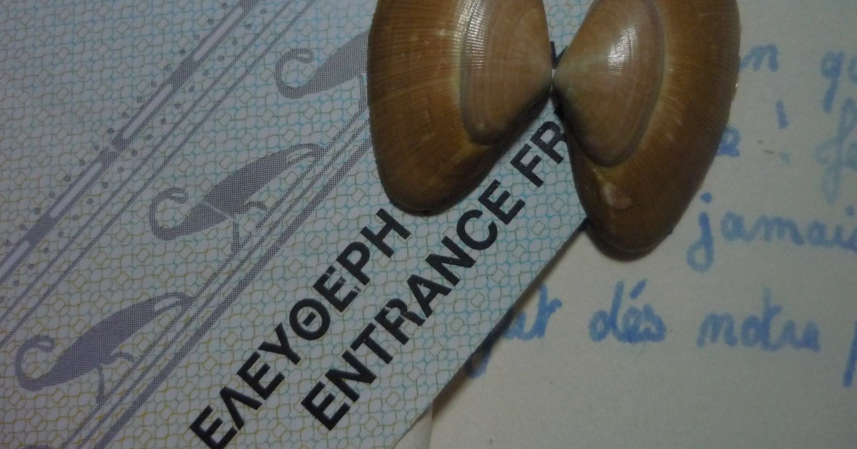 Symbolique du papillon (8) : Transcendance