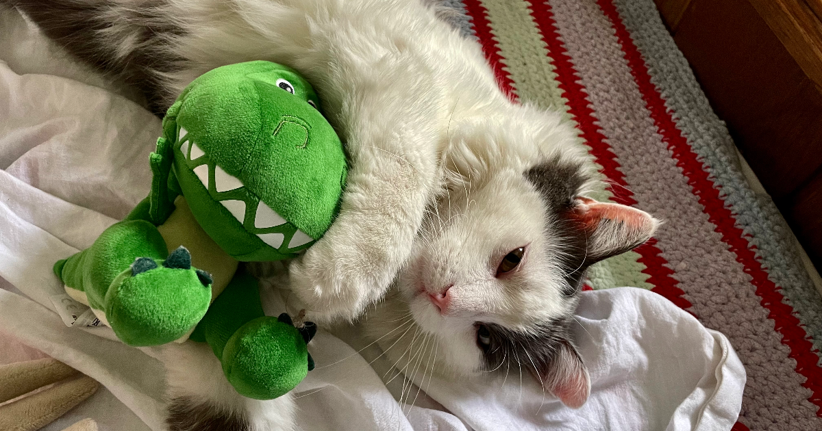 La Fin des Dinosaures - part.2