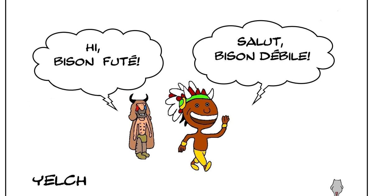 Bison débile