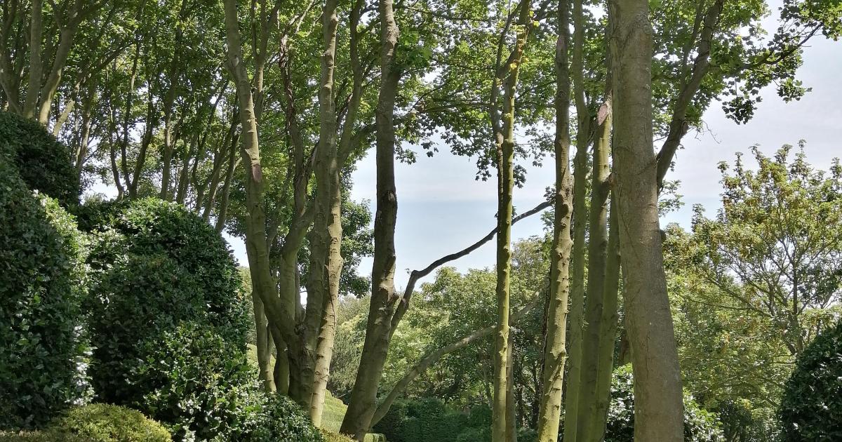 Rencontre avec Helena