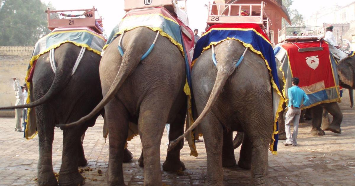 Un crochet dans le Rajasthan