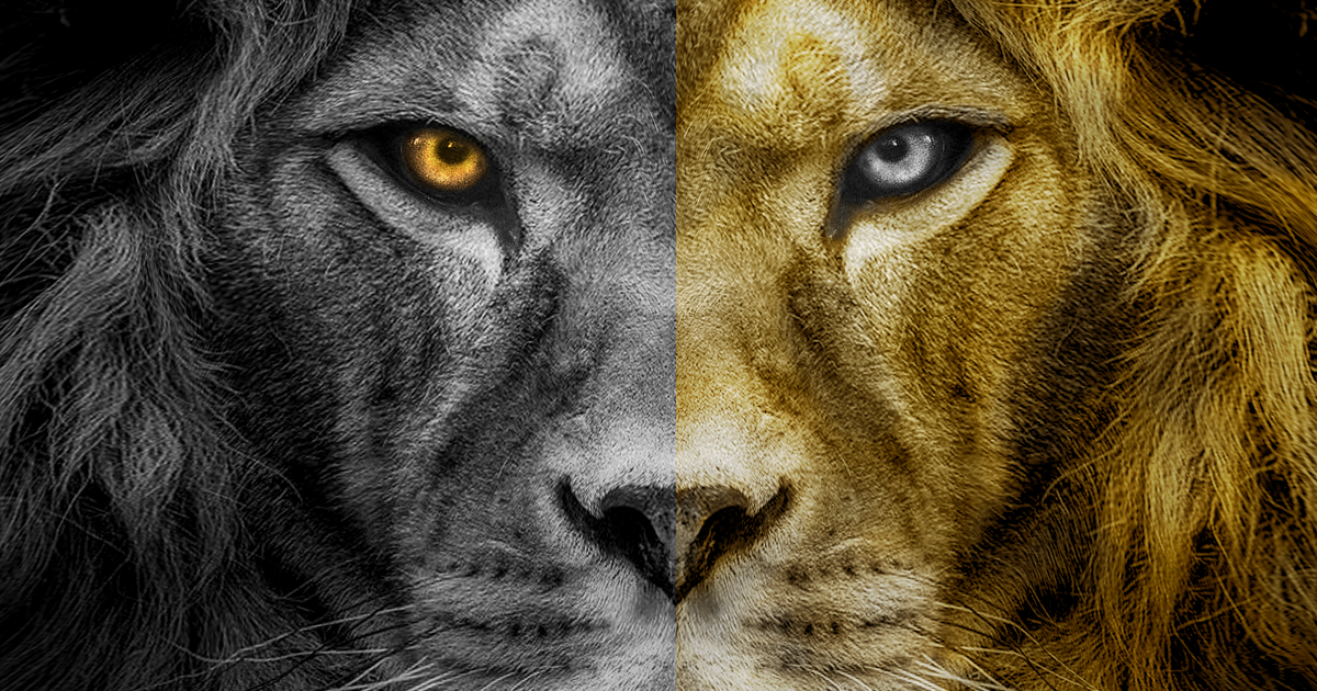 51. La Légende de Nil. Jean-Marc Ferry. Livre II, L'Utopie de Mohên, Chapitre VII, 2