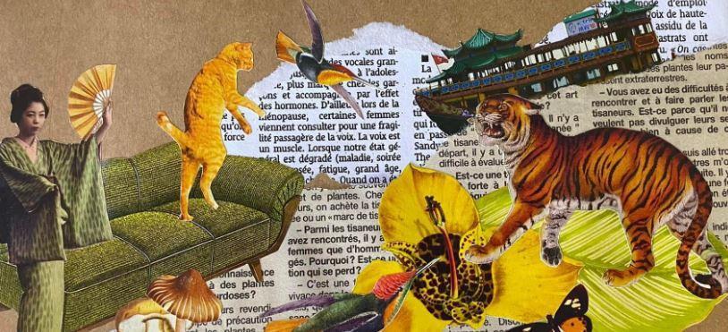 Écrivons un texte avec les mots suivants : chat - canapé - éventail - champignon - tigre - papillon - orchidée - bateau.