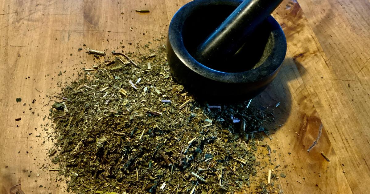 Le jardin du 22 Août, avec Hildegarde