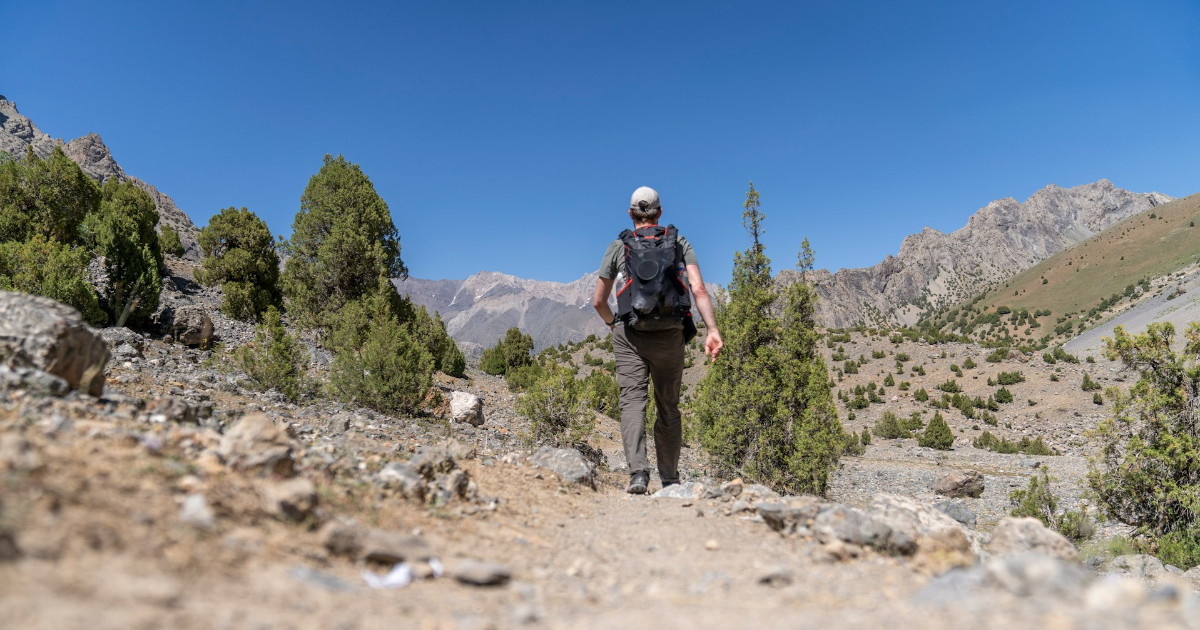 LinkTober2025 : leçon