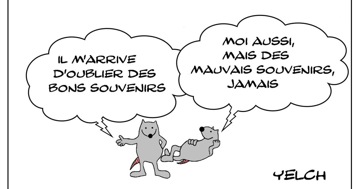 Les bons souvenirs ne s'oublient pas , les mauvais souvenirs ne s'oublient jamais