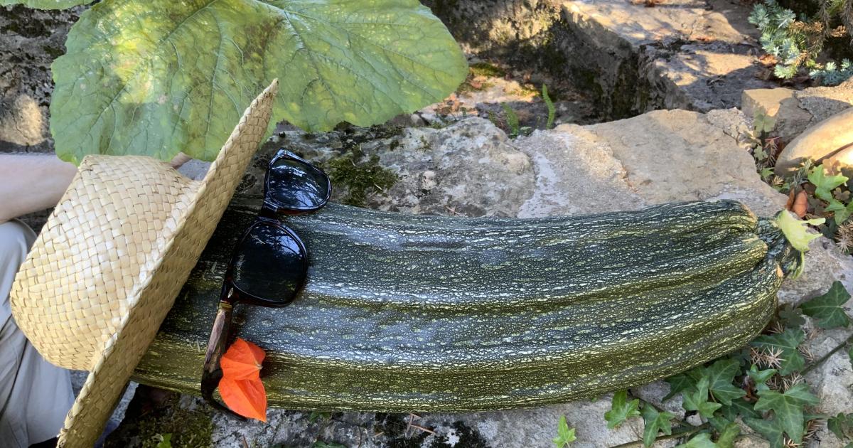 Le jardin du 3 Septembre