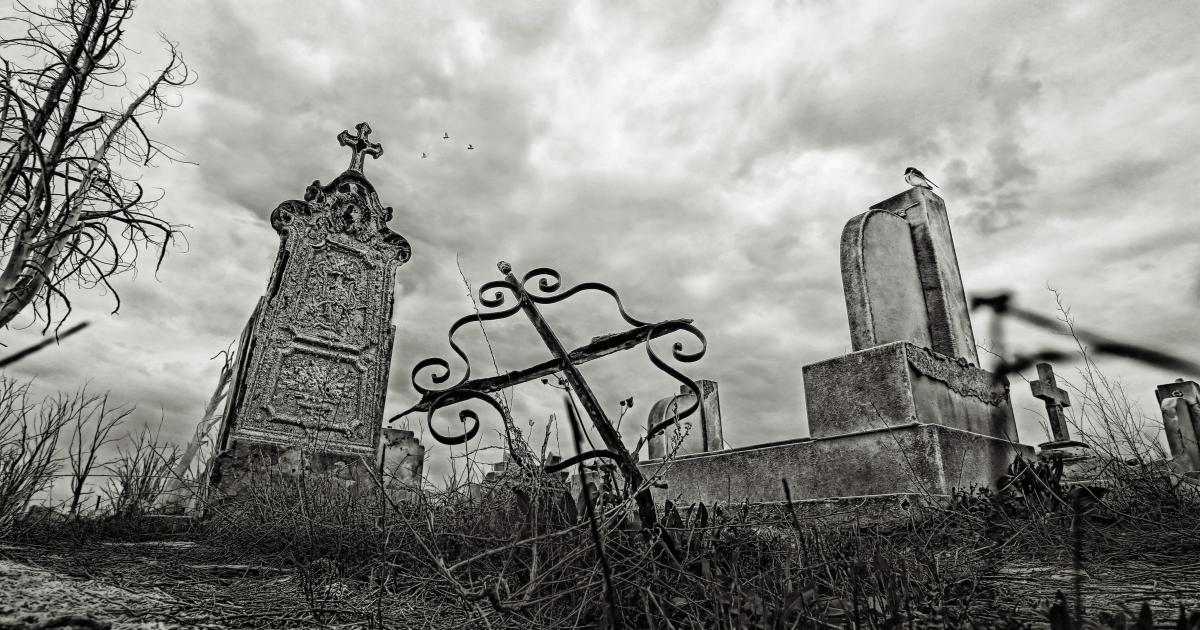 Alexandre Marsan ou l'étrangeaventure de Cyrill Vassikoff