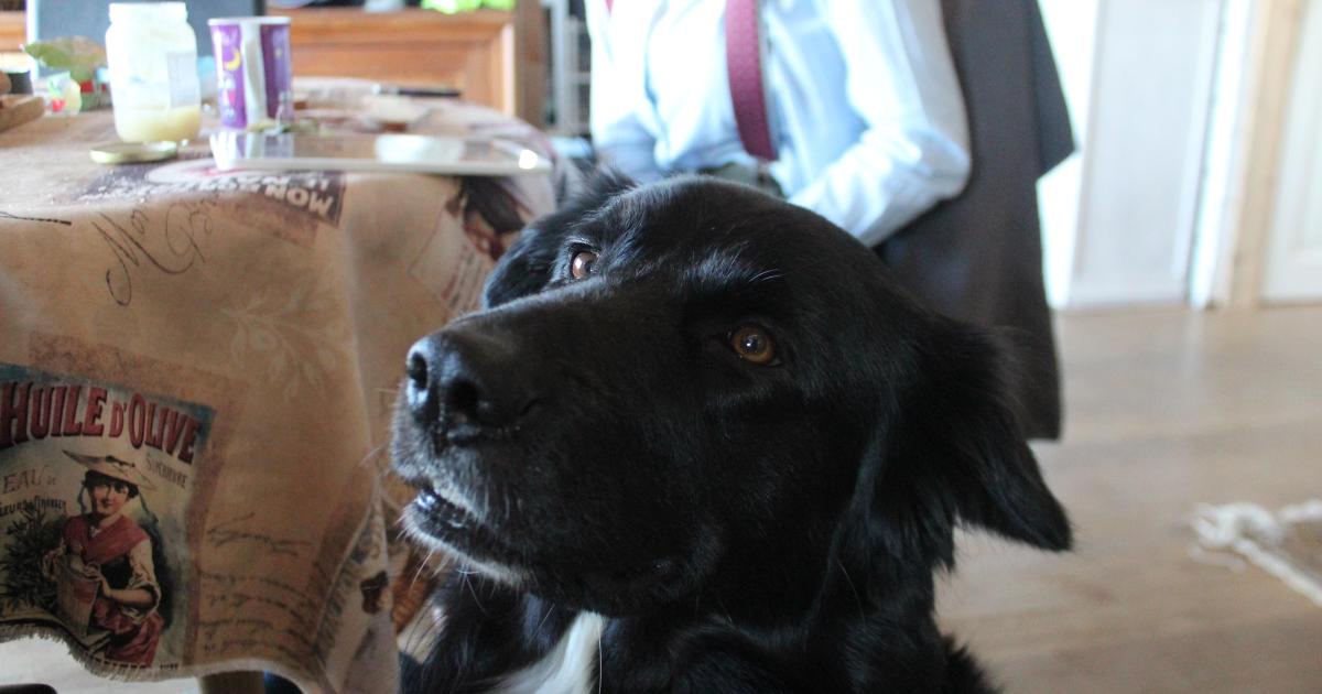 Ouvre grand tes oreilles et tes yeux