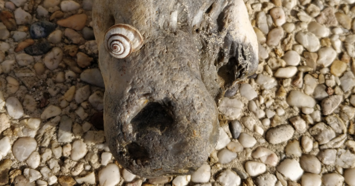 Oeil de pierre