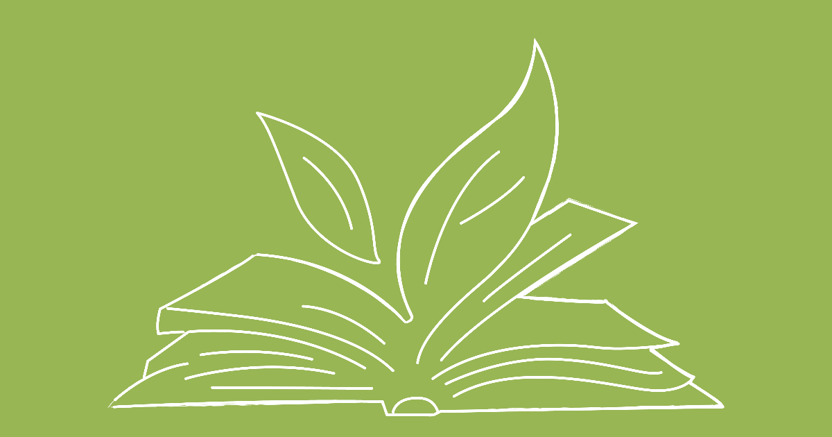 Green Tales : Favoriser la créativité avec des élèves allemands - Partie II