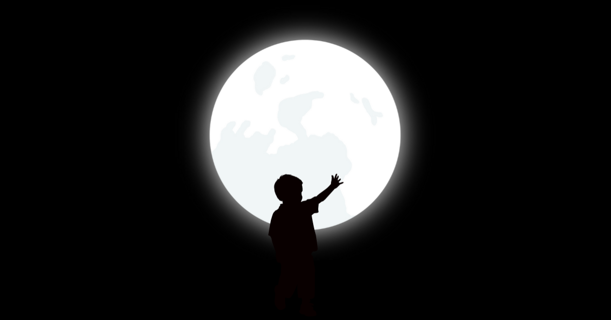 Quoi, Pourquoi, Et ensuite ?