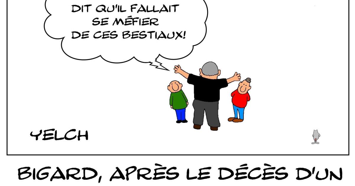 J'ai toujours peur des chauves-souris
